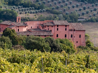 Il Ciliegiolo di Narni e altre storie