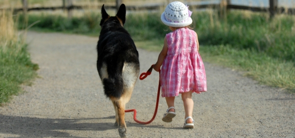 IO MI FIDO: una passeggiata di beneficenza a sei zampe